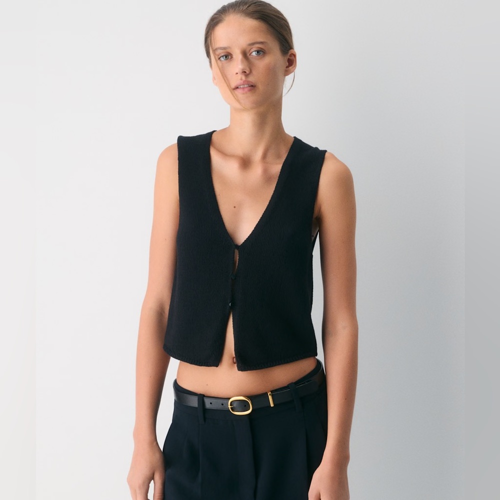 Aritzia Wilfred Basque Sweater Vest